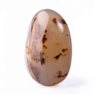 Palmstone Ágata Dendrítica (69mm)