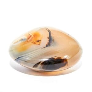 Palmiers en agate dendritique