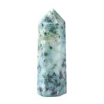 Fynchenite